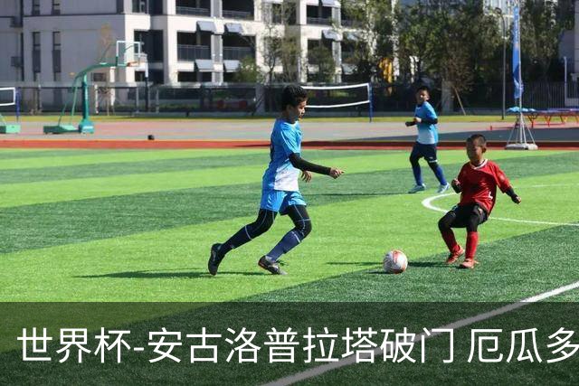 世界杯-安古洛普拉塔破门 厄瓜多尔2-1逆转德国出线