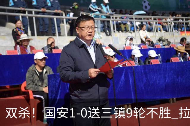 双杀！国安1-0送三镇9轮不胜 拉莫斯头槌制胜张稀哲疑似重伤伤退