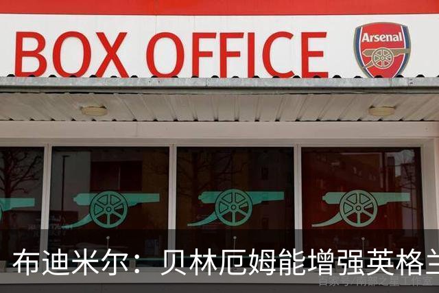布迪米尔：贝林厄姆能增强英格兰实力 拉什福德总有关键表现